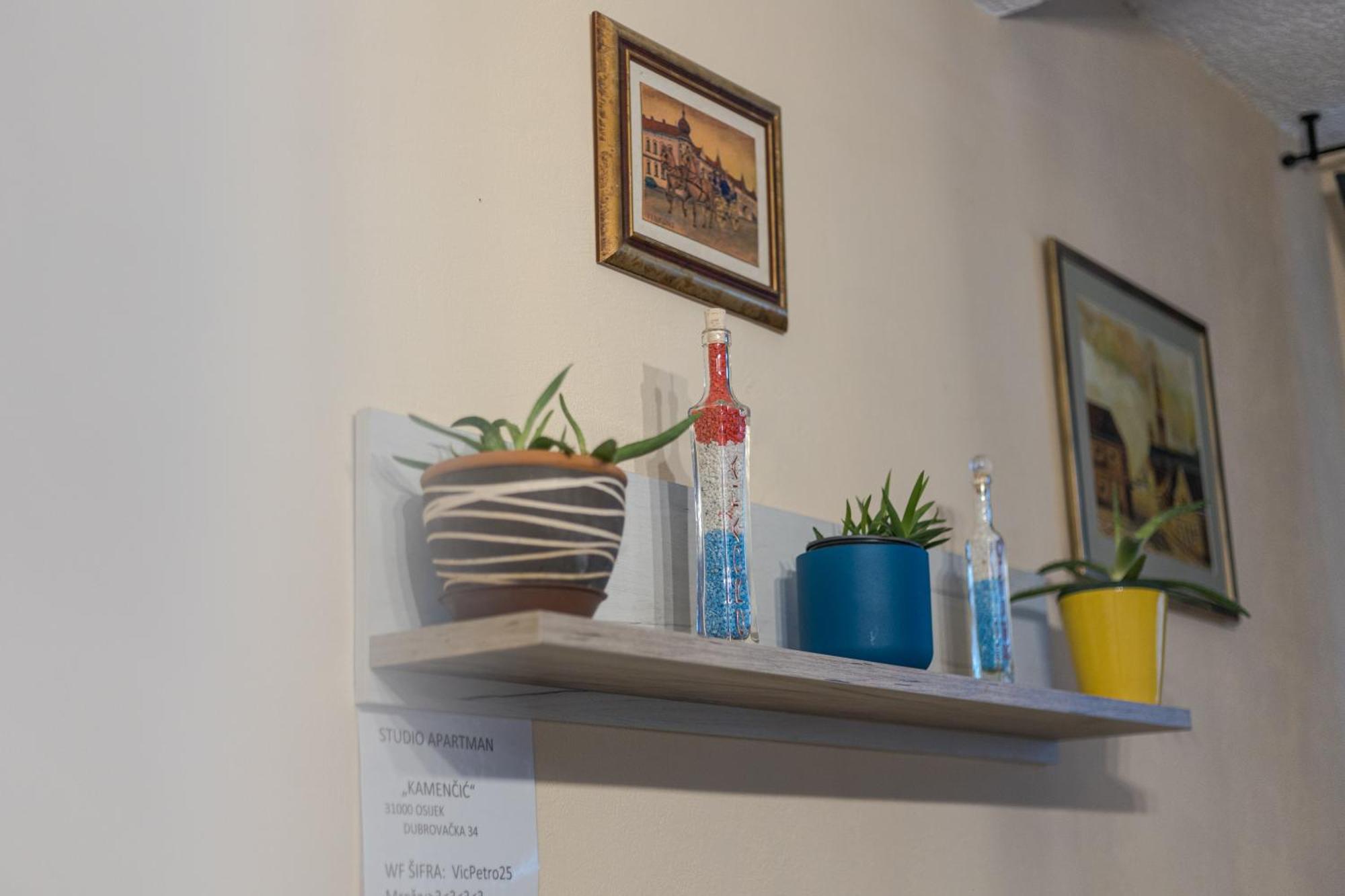 Apartment Kamencic